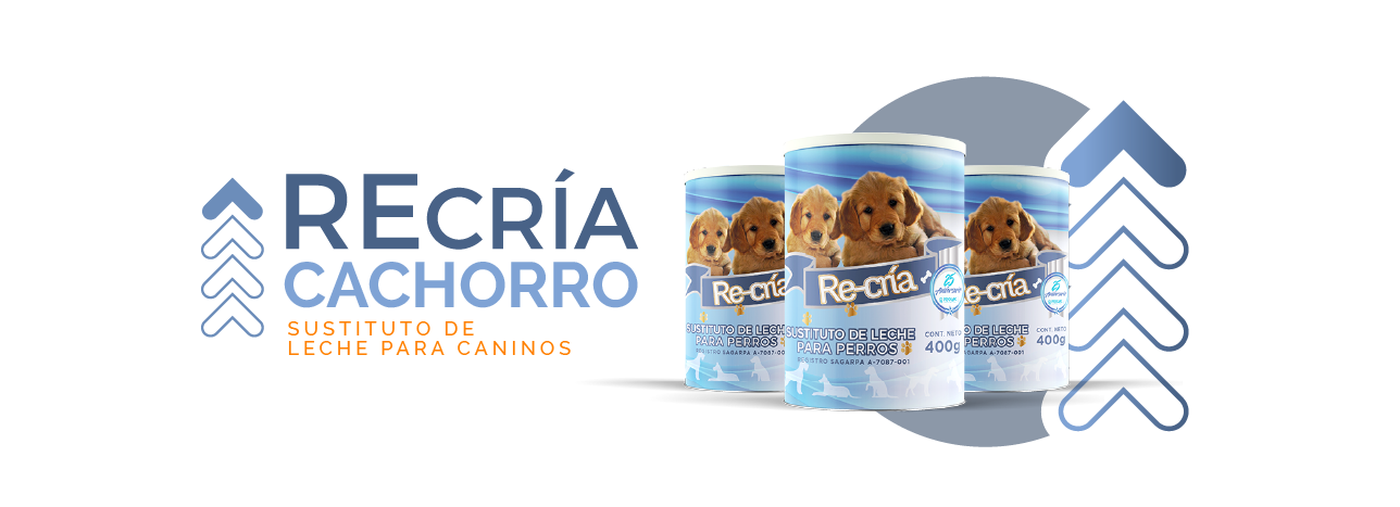 Sustituto de leche para gatos, Recría Cachorros